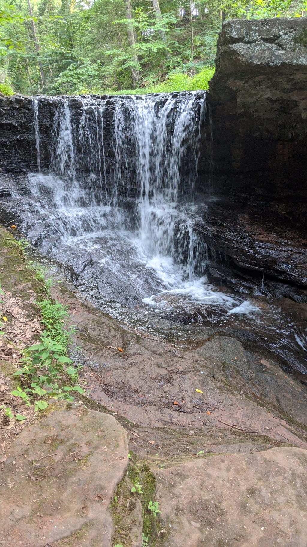 Summer Koolingz/Drinking Water