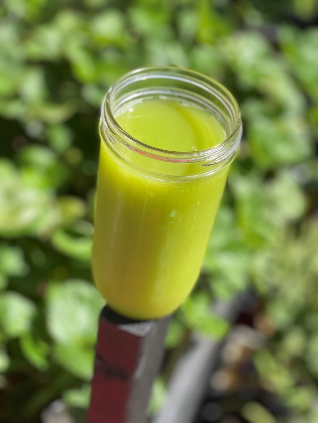 CUCUMBER JUICE/Summer Koolingz