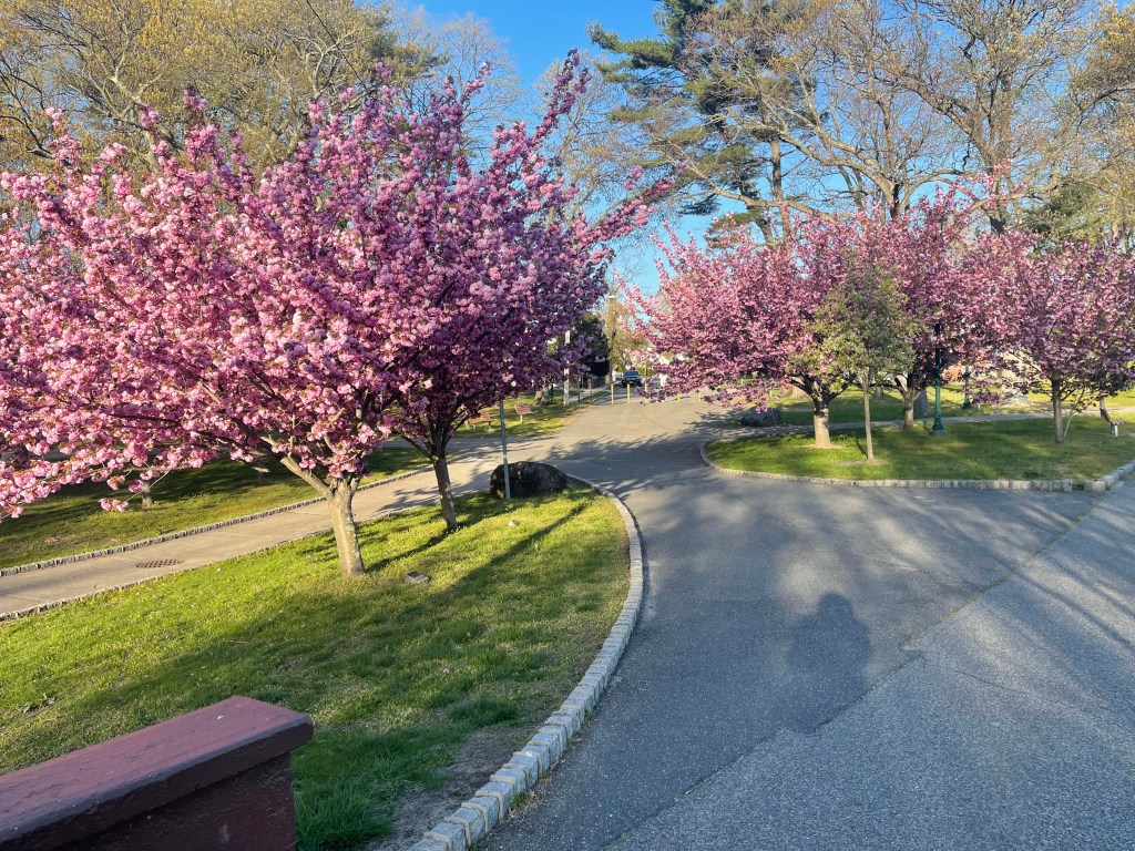 SPRING IS IN THE AIR