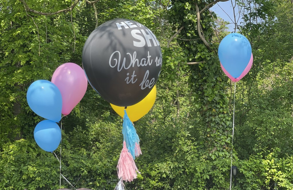 WE ARE HAVING A…..!!!! GENDER&nbsp;REVEAL