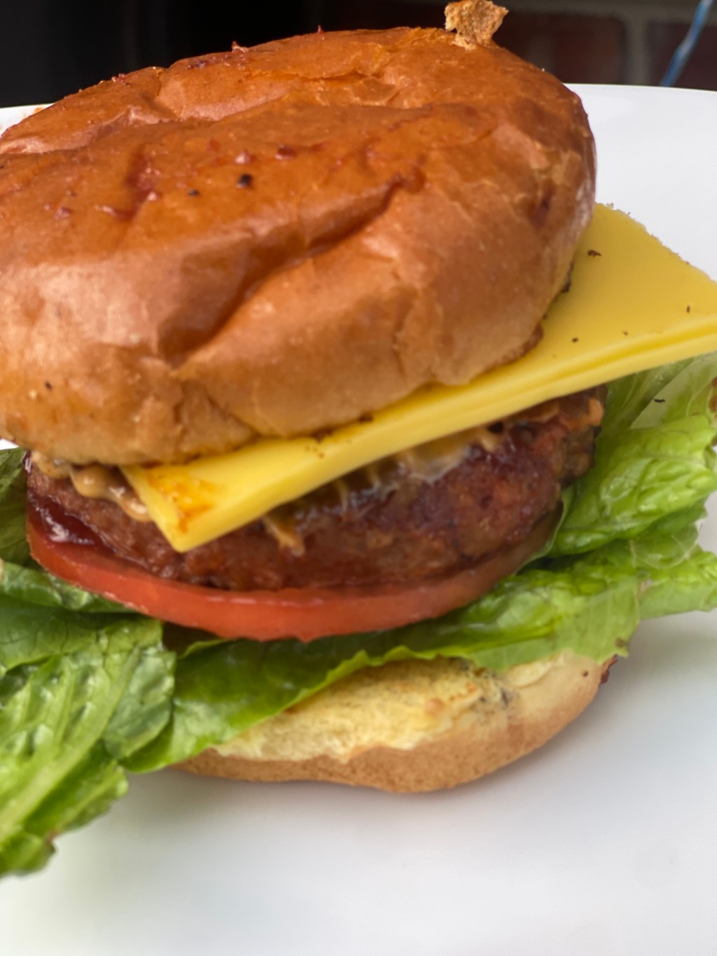 What I Did For 4th of&nbsp;July