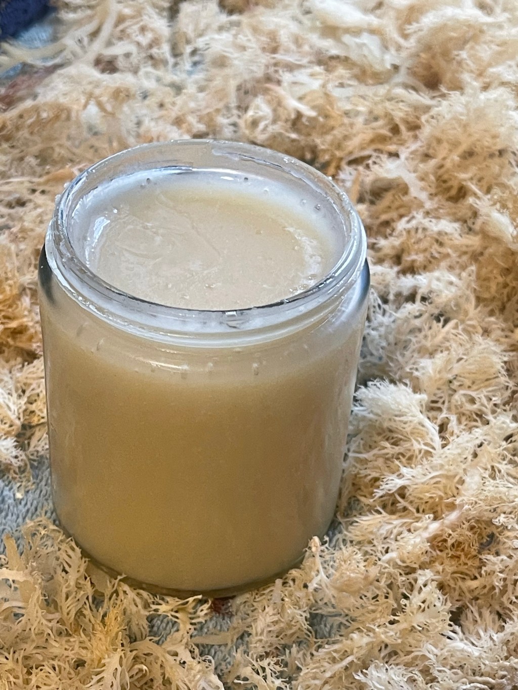 Let’s Talk Sea&nbsp;Moss