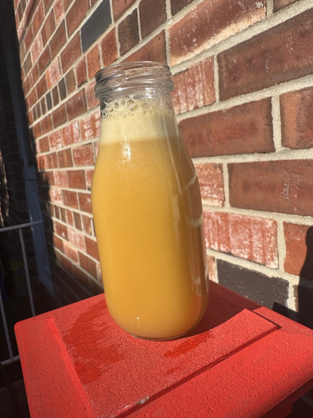 “Boost Your Winter Wellness with Delicious Juices and Smoothies: Recipes&nbsp;Inside!”