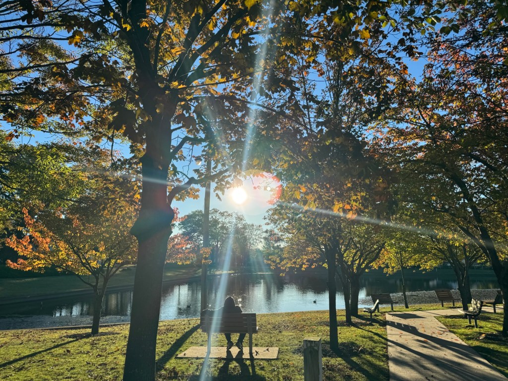 Why Vitamin D Matters in&nbsp;Winter