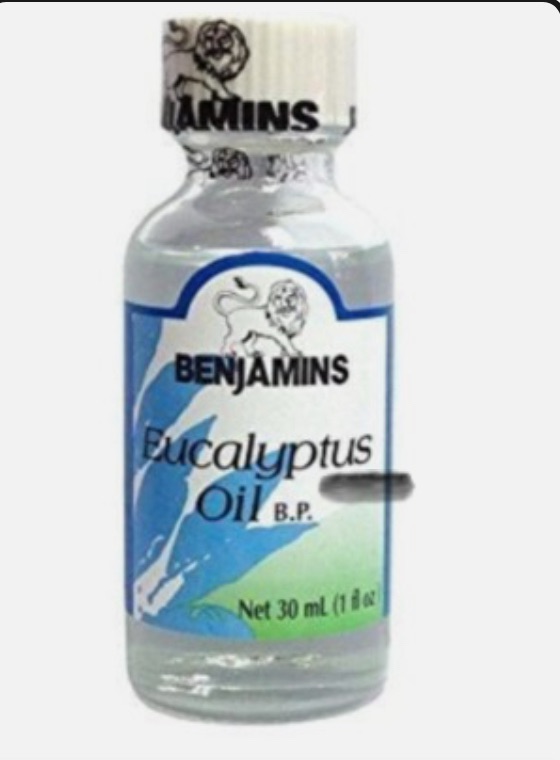 Flu Fighters in My Kitchen:&nbsp;Eucalyptus