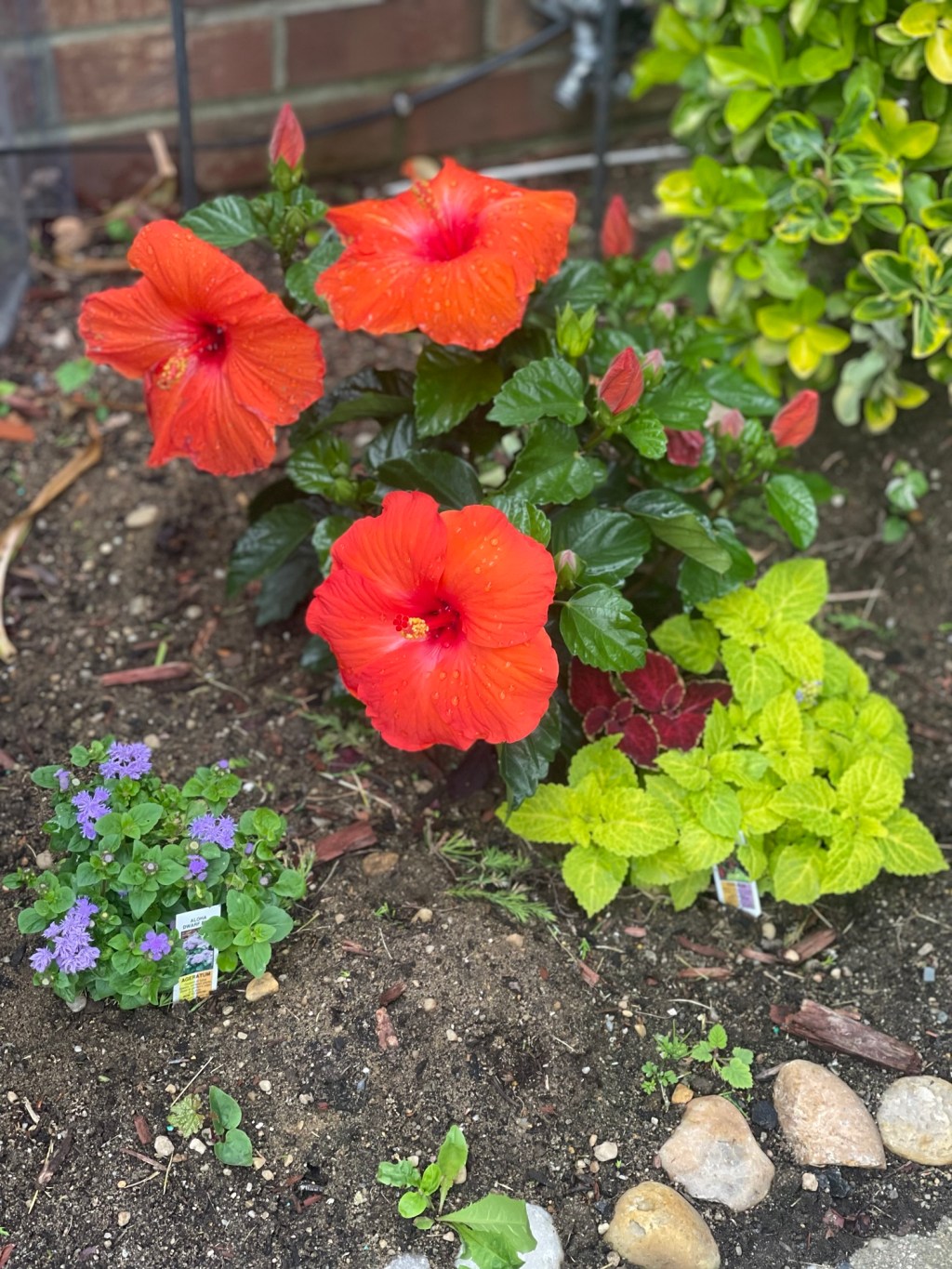 Be Well Wednesday: Don’t Just Smell the Roses, Smell All the Flowers